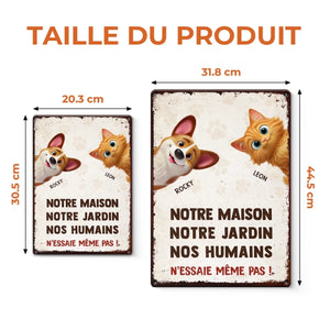 MS-TL0539_thumb.4_fr