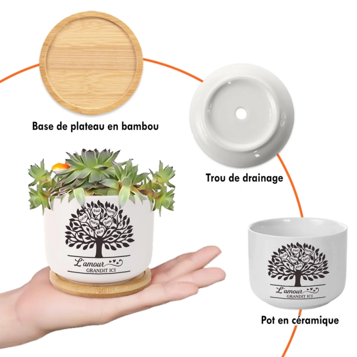 CPP-TL0506_thumb-4